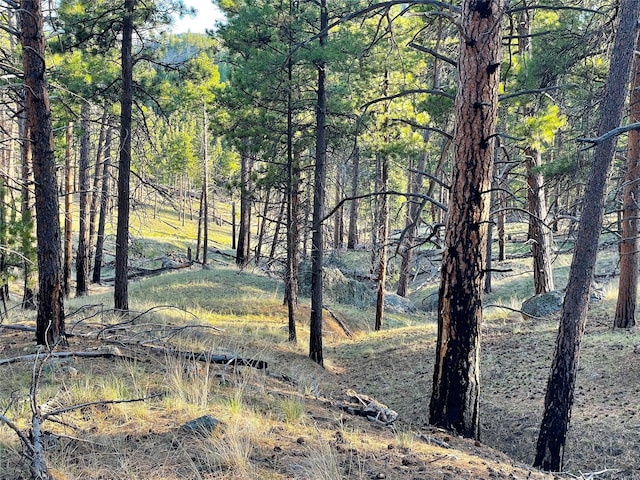 40ACRES American Bar Rd, Helena, MT 59602
