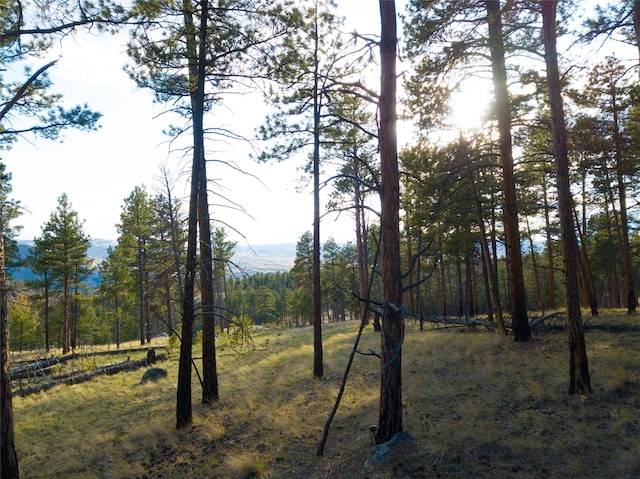 40ACRES American Bar Rd, Helena, MT 59602