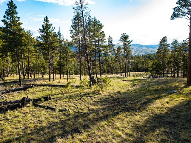 40ACRES American Bar Rd, Helena, MT 59602