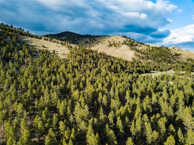 40ACRES American Bar Rd, Helena, MT 59602