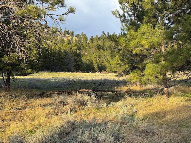 40ACRES American Bar Rd, Helena, MT 59602