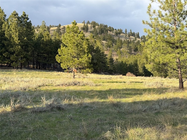 40ACRES American Bar Rd, Helena, MT 59602