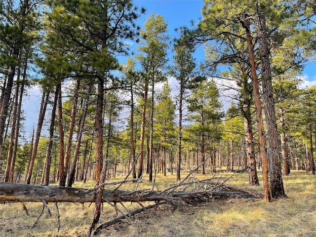 40ACRES American Bar Rd, Helena, MT 59602