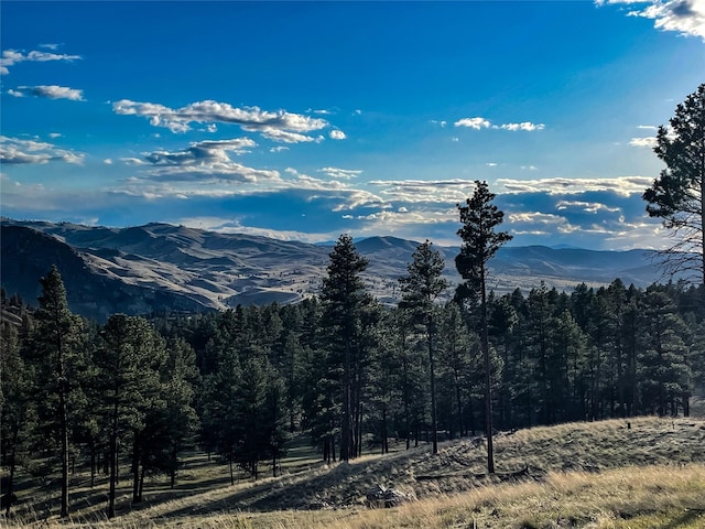 40ACRES American Bar Rd, Helena, MT 59602