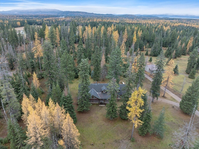 bird's eye view with a mountain view