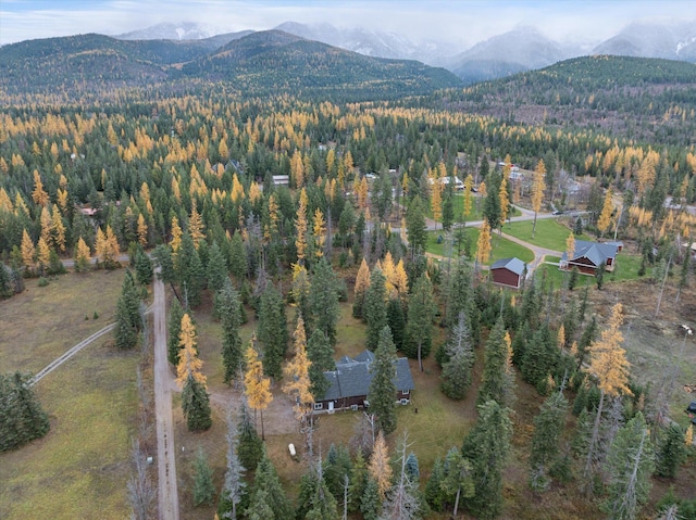 birds eye view of property with a mountain view