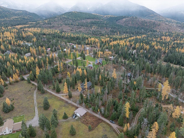 birds eye view of property with a mountain view