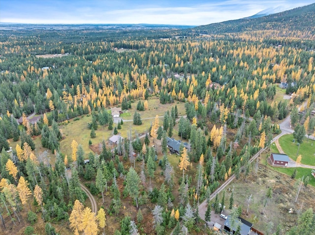 bird's eye view featuring a mountain view