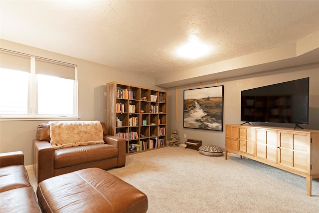 carpeted living room featuring a textured ceiling