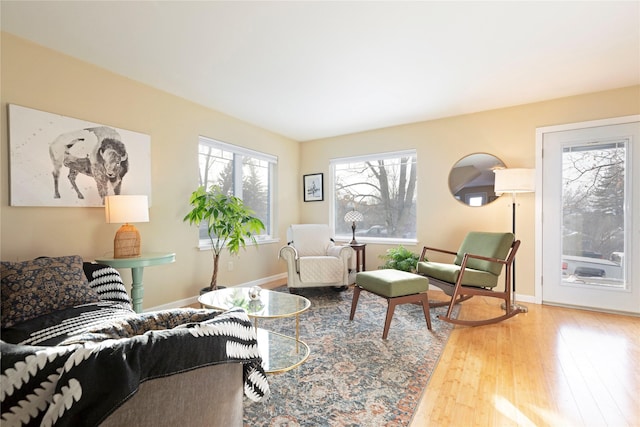 living room featuring hardwood / wood-style flooring