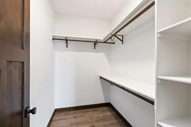 spacious closet with wood-type flooring