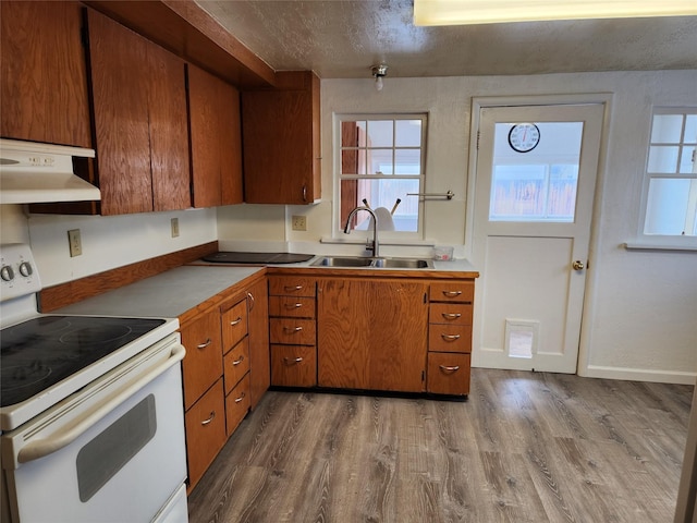 kitchen featuring sink, a textured ceiling, light hardwood / wood-style flooring, and white electric range oven