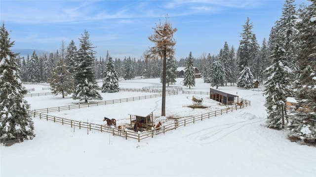 yard layered in snow with a rural view