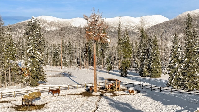 property view of mountains with a rural view