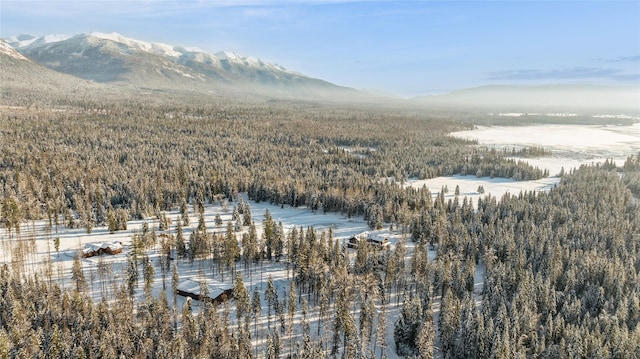 snowy aerial view featuring a mountain view