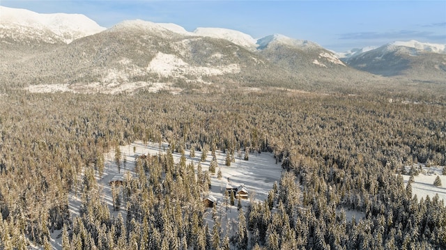 190 Black Bear Ln, Bigfork, MT 59911 - view of mountain background featuring a forest