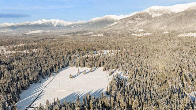 190 Black Bear Ln, Bigfork, MT 59911 - mountain view
