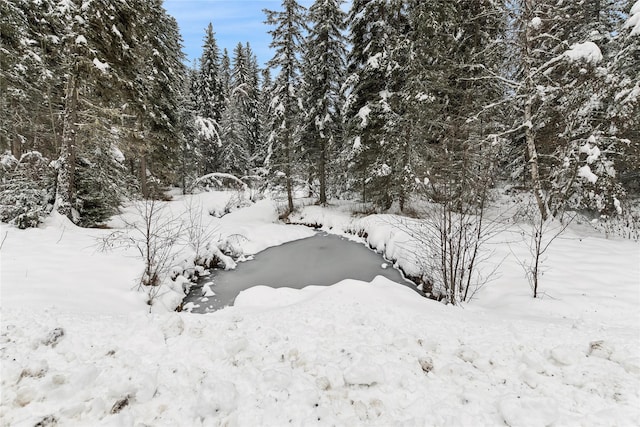 190 Black Bear Ln, Bigfork, MT 59911 - view of snowy yard