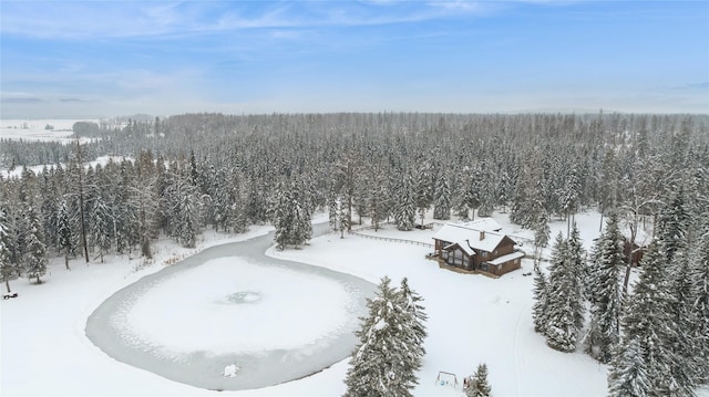 view of snowy aerial view