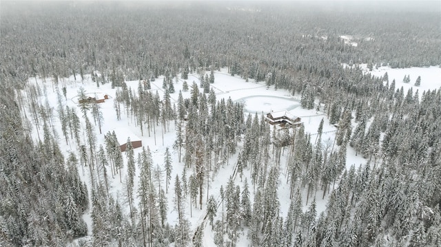 view of snowy aerial view