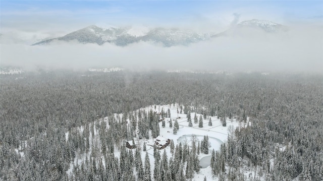 snowy aerial view featuring a mountain view