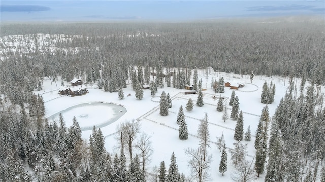 view of snowy aerial view