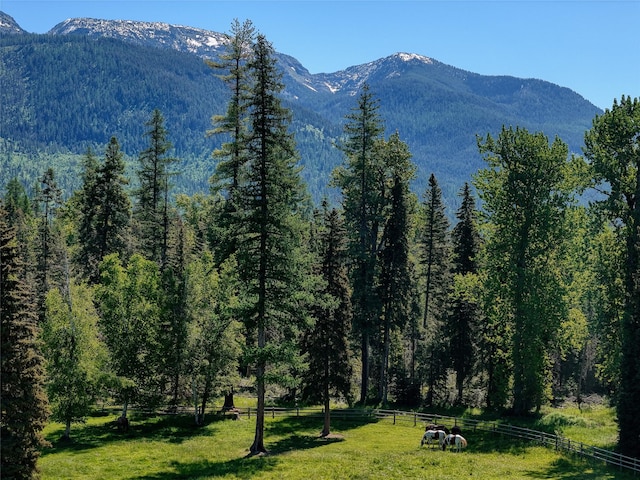 190 Black Bear Ln, Bigfork, MT 59911