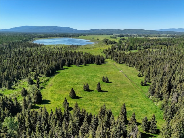 190 Black Bear Ln, Bigfork, MT 59911