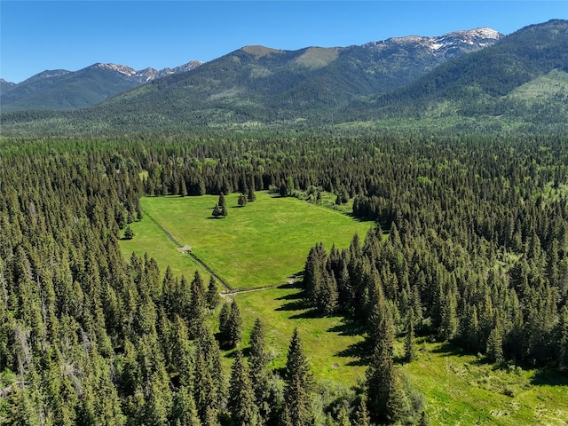 190 Black Bear Ln, Bigfork, MT 59911