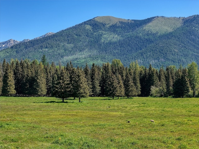 190 Black Bear Ln, Bigfork, MT 59911