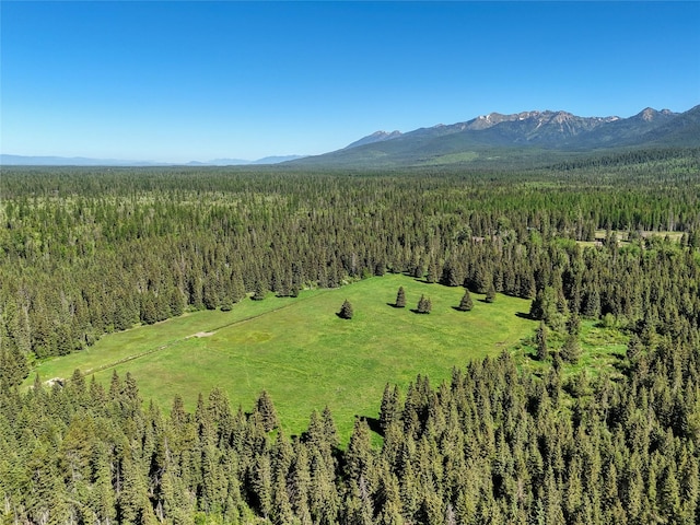 190 Black Bear Ln, Bigfork, MT 59911