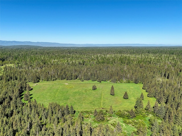 190 Black Bear Ln, Bigfork, MT 59911