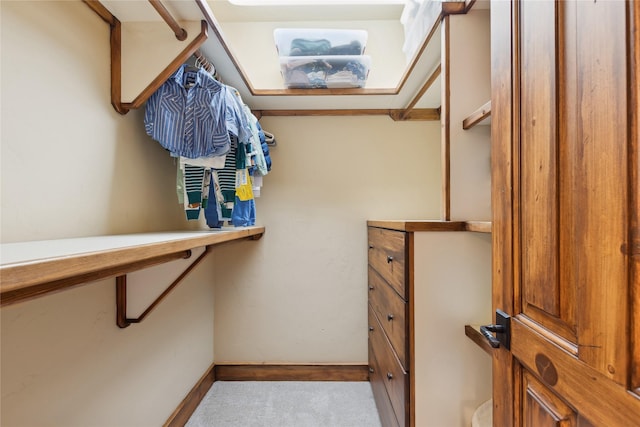 walk in closet with light carpet