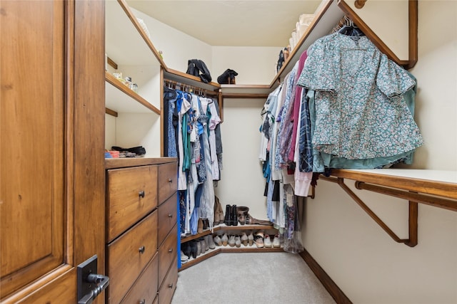 walk in closet featuring carpet flooring