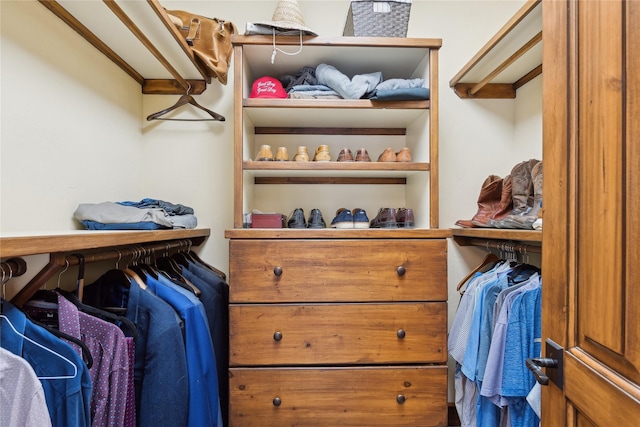 view of spacious closet