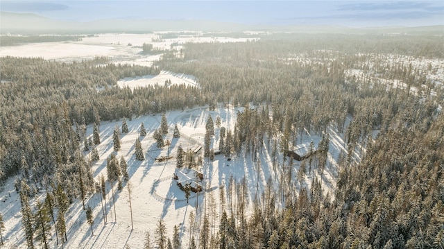 190 Black Bear Ln, Bigfork, MT 59911 - snowy aerial view featuring a view of trees