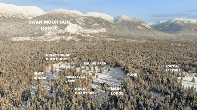 190 Black Bear Ln, Bigfork, MT 59911 - view of mountain background with a heavily wooded area
