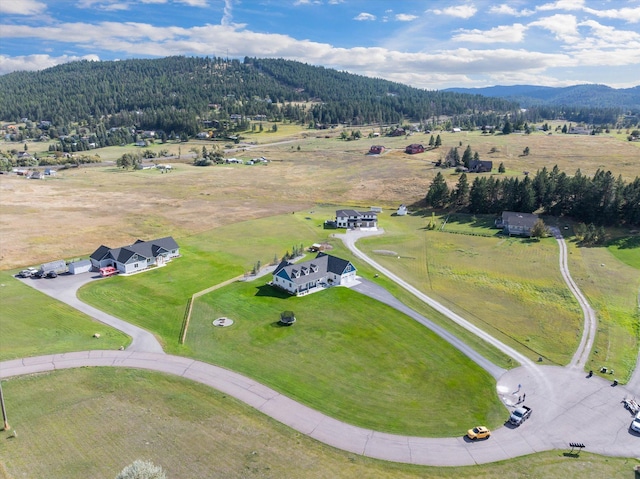 aerial view with a mountain view and a rural view