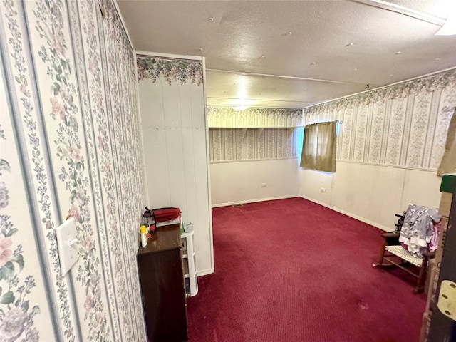 basement featuring carpet