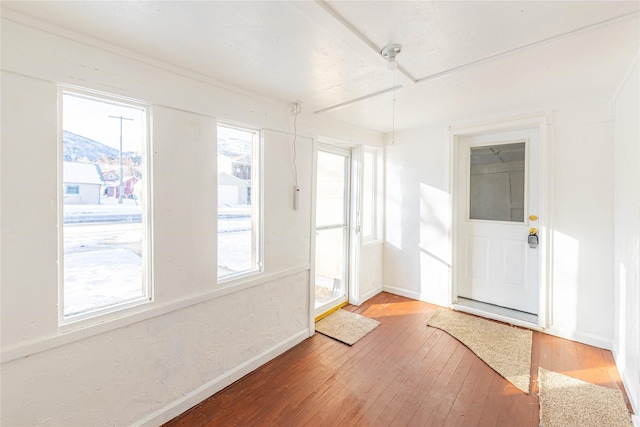 interior space with wood-type flooring and a healthy amount of sunlight