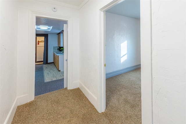 hall featuring carpet floors and sink