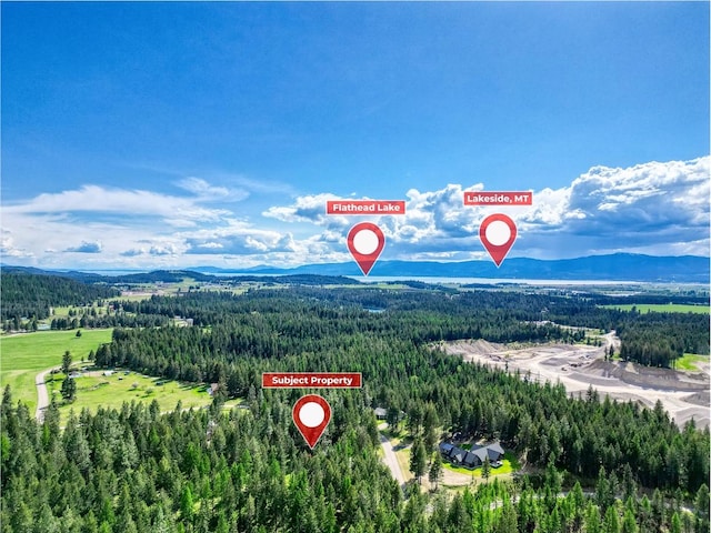 119 Belterra Ln, Bigfork, MT 59911