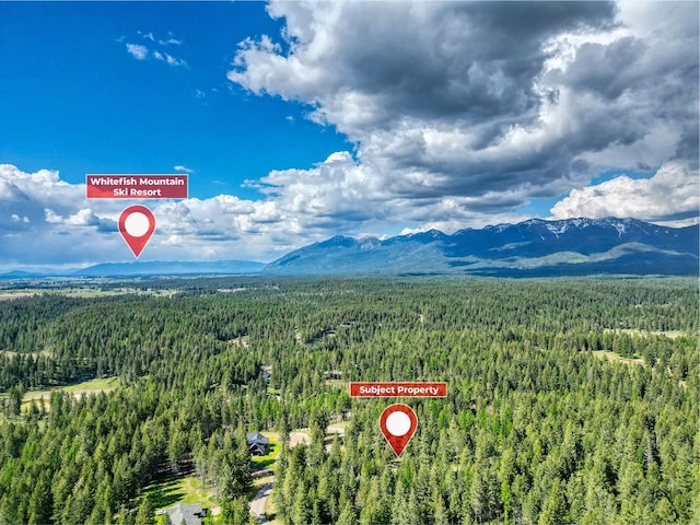 119 Belterra Ln, Bigfork, MT 59911