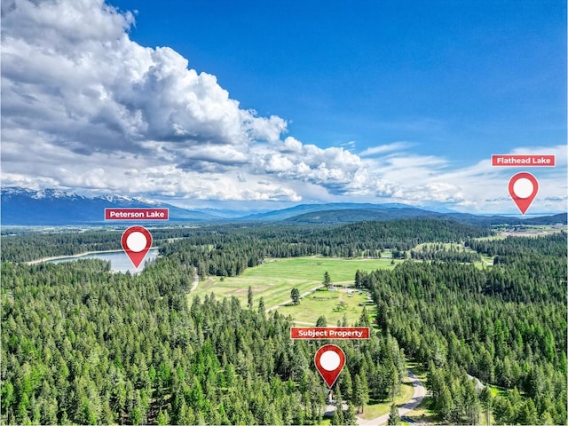 119 Belterra Ln, Bigfork, MT 59911