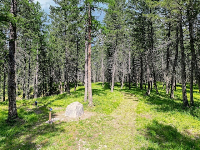 119 Belterra Ln, Bigfork, MT 59911