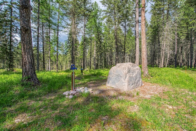 119 Belterra Ln, Bigfork, MT 59911
