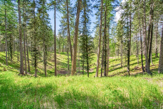 119 Belterra Ln, Bigfork, MT 59911