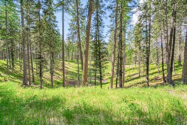 119 Belterra Ln, Bigfork, MT 59911
