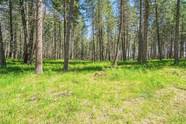 119 Belterra Ln, Bigfork, MT 59911