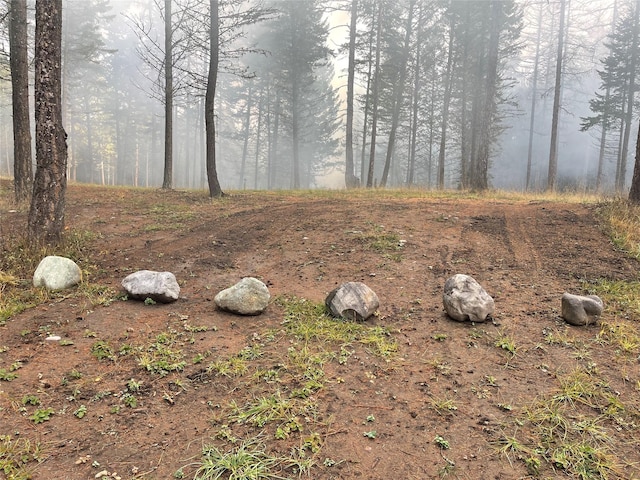 119 Belterra Ln, Bigfork, MT 59911